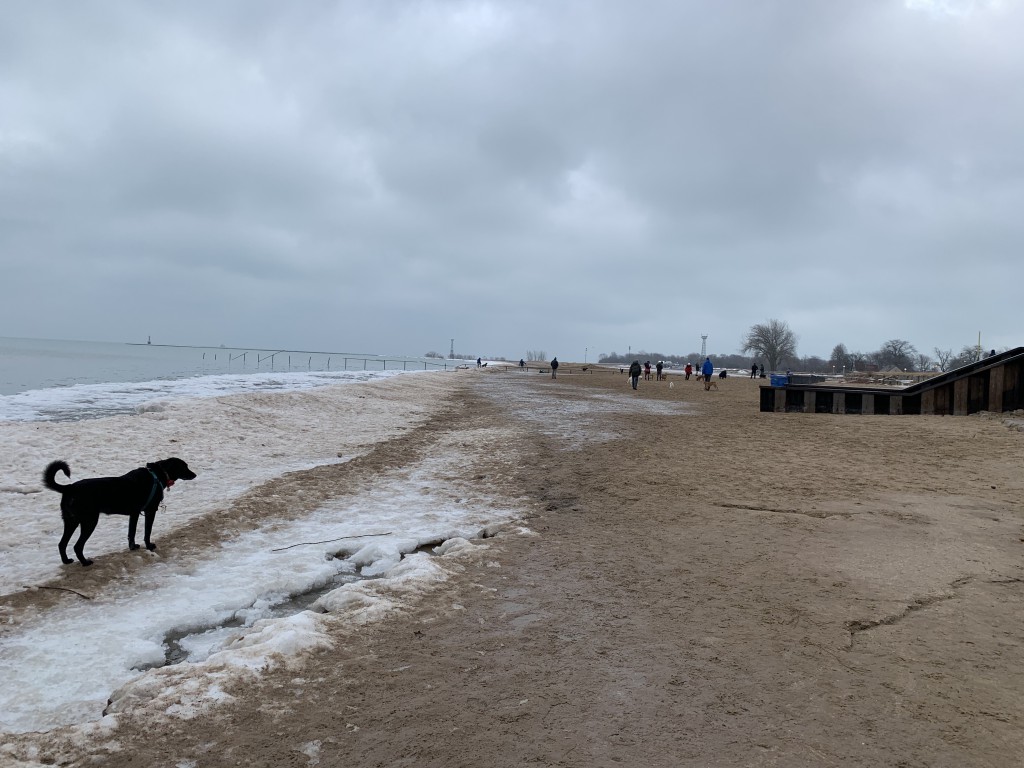 Montrose Dog Park business image in Chicago, Illinois